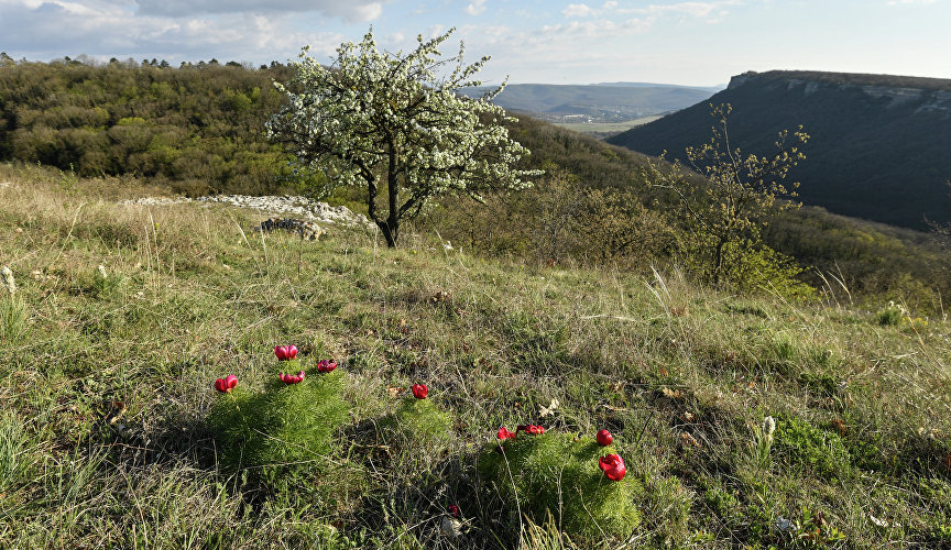 Весна в Крыму