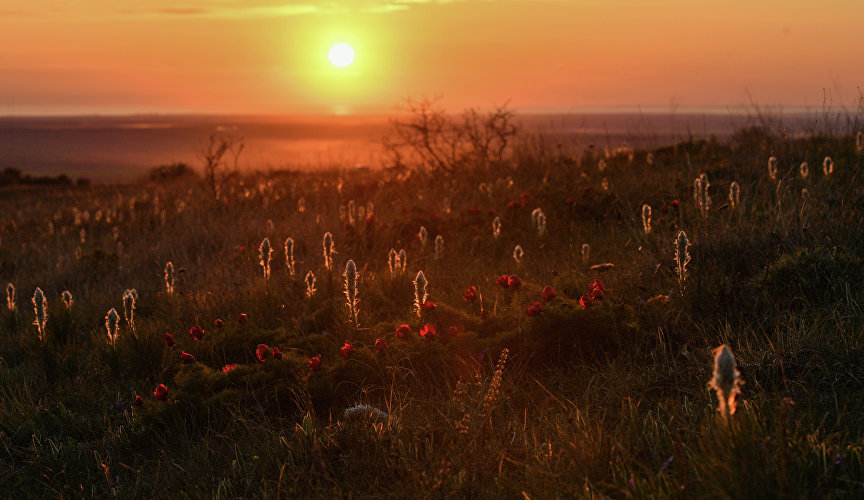 Весна в Крыму