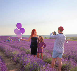 В Крыму начала цвести лаванда: когда и куда ехать на фотосессии