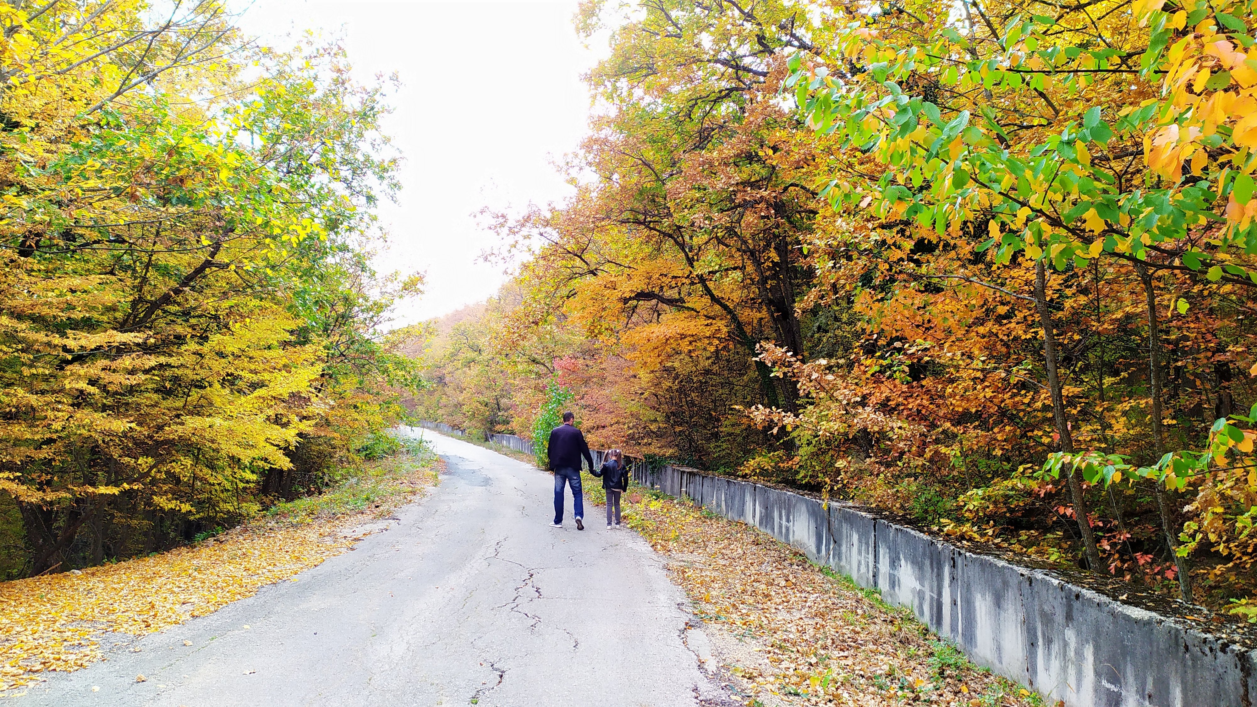 Прогулка по осенней дороге в Крыму