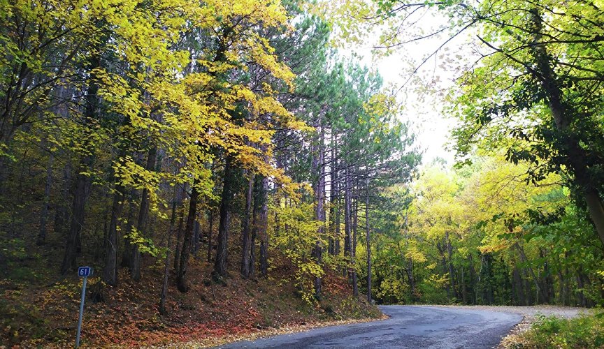 Горная дорога в Крыму