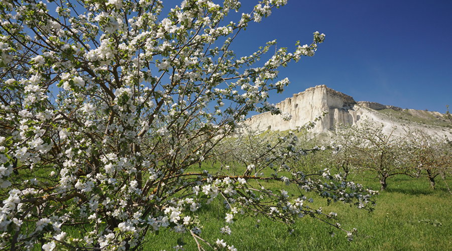 Весна в Крыму