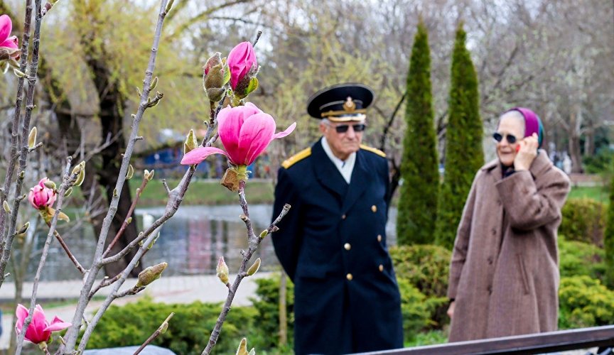 Цветение магнолии в Симферополе