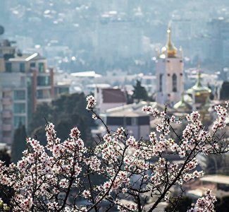 Указом главы Республики в Крыму вводятся временные ограничения в сфере туризма